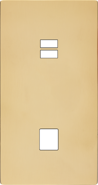 Façade "m" laiton verni double verticale 1 chargeur usb  sans vis