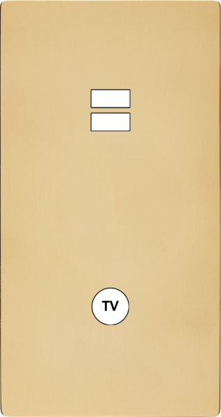 Façade "m" laiton miroir double verticale 1 chargeur usb  sans vis