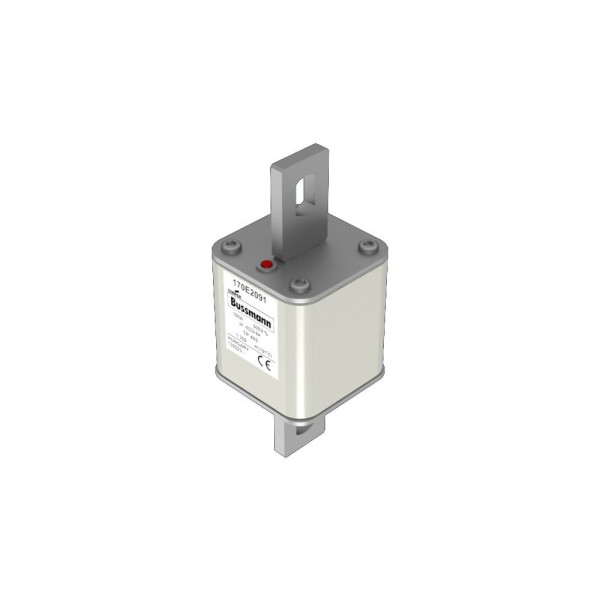 FUSE 100A 500V TP 405 AR (170E2091)