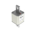 FUSE 100A 500V TP 405 AR (170E2091)