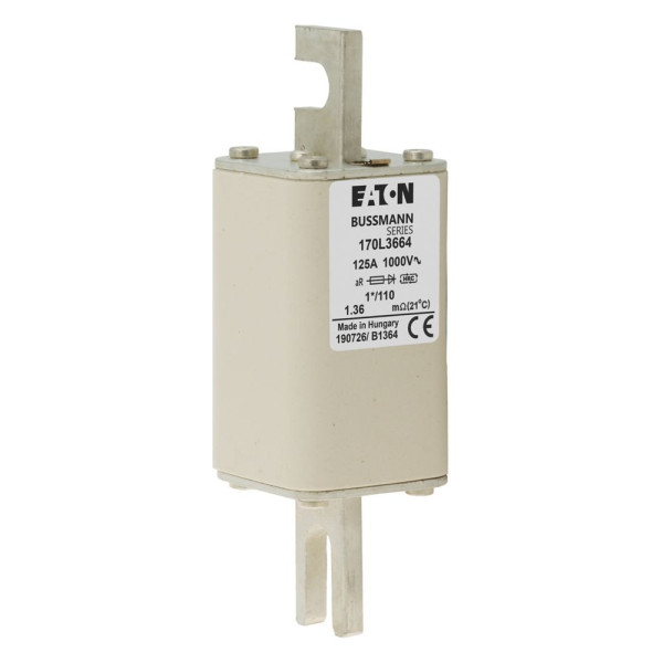 Fuse 125a 1000v 1*/110 ar 