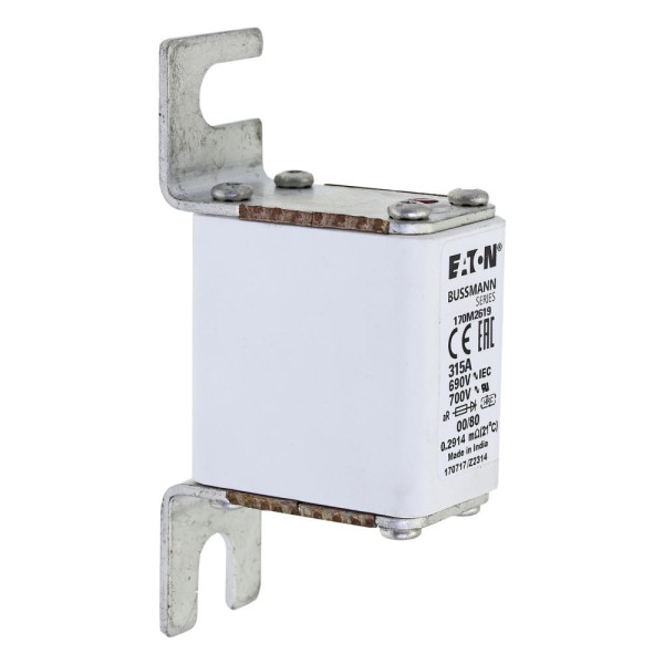 Fuse 315a 690v 00/80 ar ur 