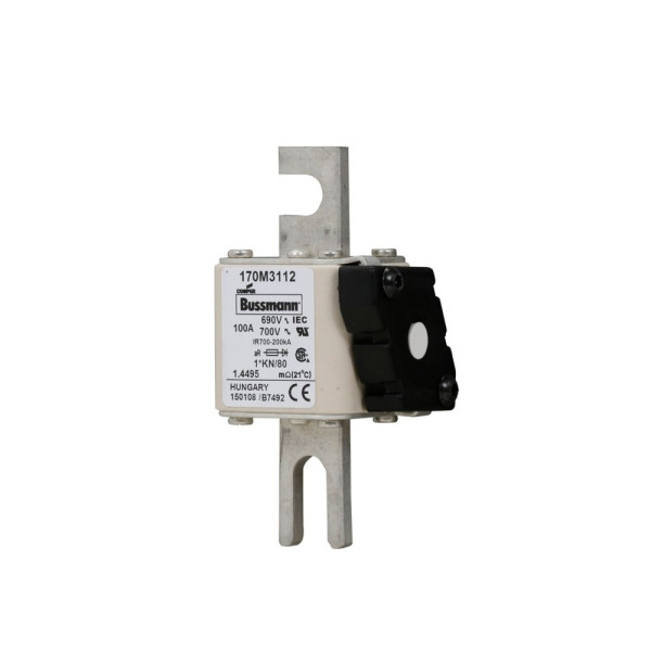 Fuse 100a 690v 1*kn/80 ar uc 