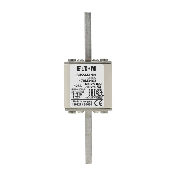 Fuse 125a 690v 1*/110 ar uc 