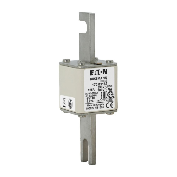 Fuse 125a 690v 1*/110 ar uc 