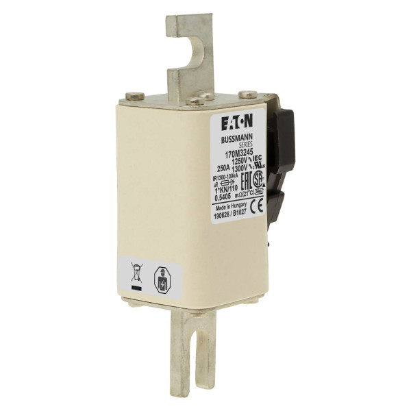 Fuse 250a 1250v 1*kn/110 ar cu 