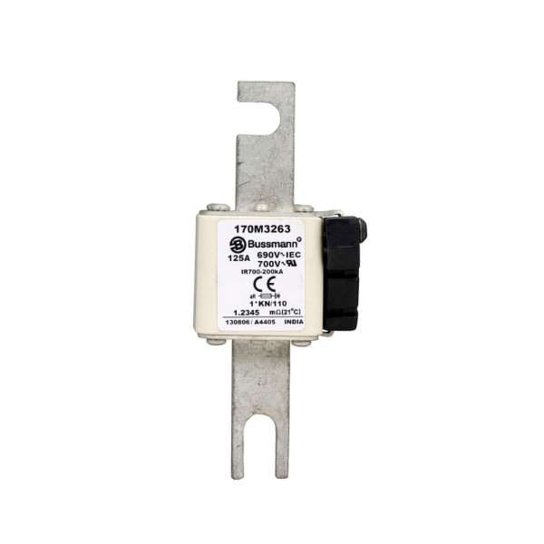 Fuse 125a 690v 1*kn/110 ar uc 