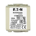 Fuse 250a 690v 1*bn/50 ar uc 