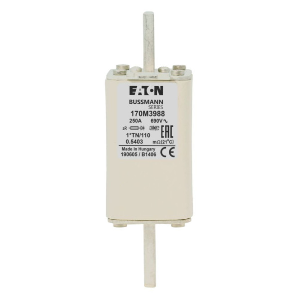 Fuse 250a 1000v 1*tn/110 ar 