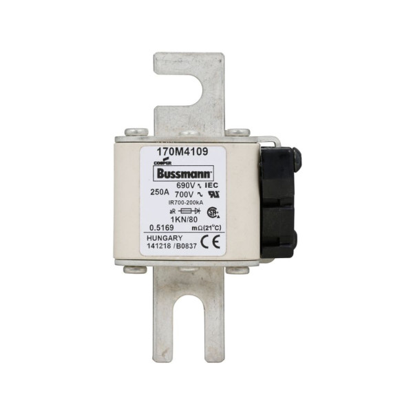 Fuse 250a 690v 1kn/80 ar uc 