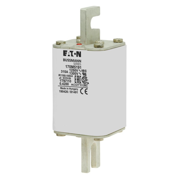 Fuse 315a 1250v 1tn/110 ar cu 