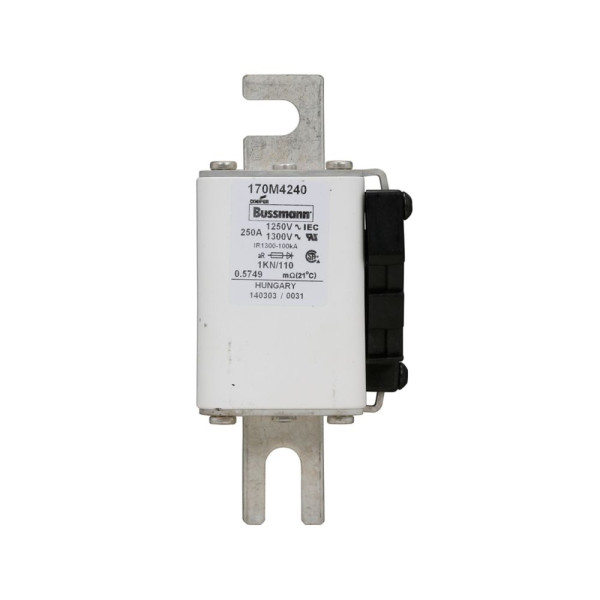 Fuse 250a 1250v 1kn/110 ar cu 