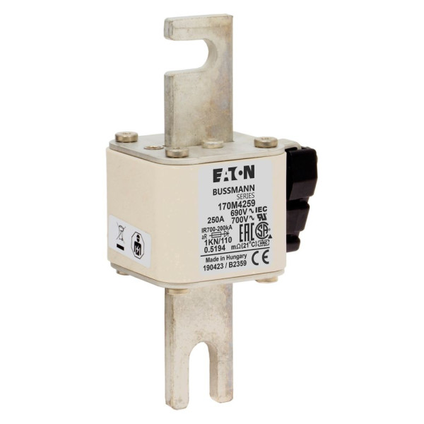 Fuse 250a 690v 1kn/110 ar uc 