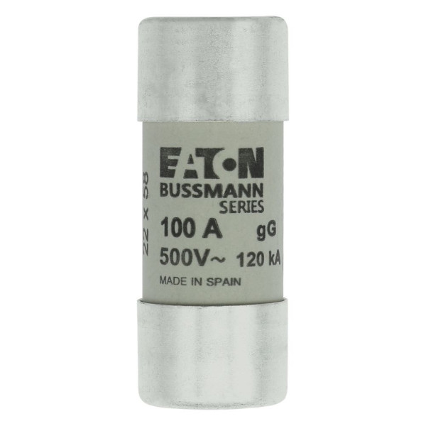 Cylindrical fuse 22 x 58 100a gg 500v ac 