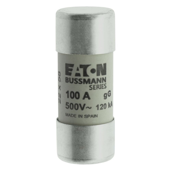 Cylindrical fuse 22 x 58 100a gg 500v ac 