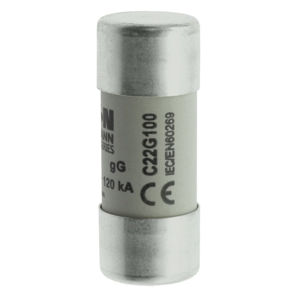 Cylindrical fuse 22 x 58 100a gg 500v ac 