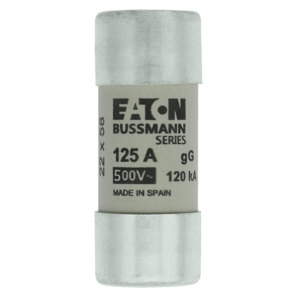 Cylindrical fuse 22 x 58 125a gg 400v ac 