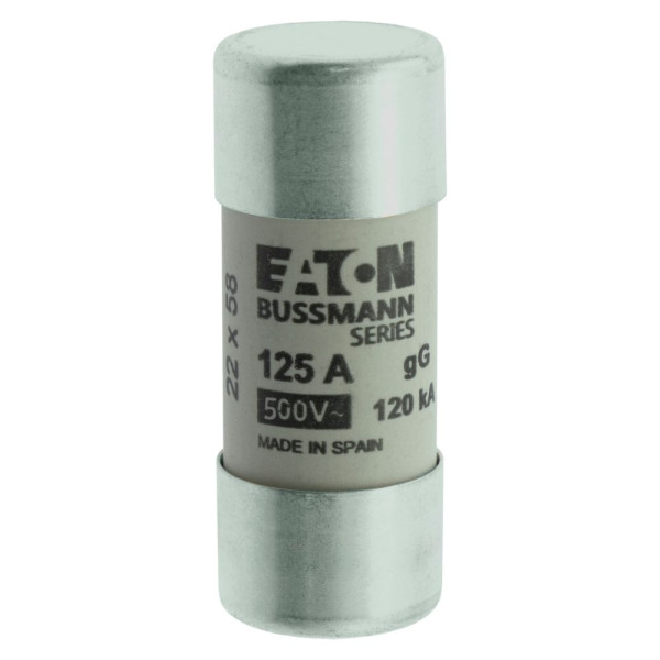 Cylindrical fuse 22 x 58 125a gg 400v ac 