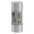 Cylindrical fuse 22 x 58 50a gg 690v ac 