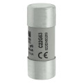 Cylindrical fuse 22 x 58 63a gg 690v ac 