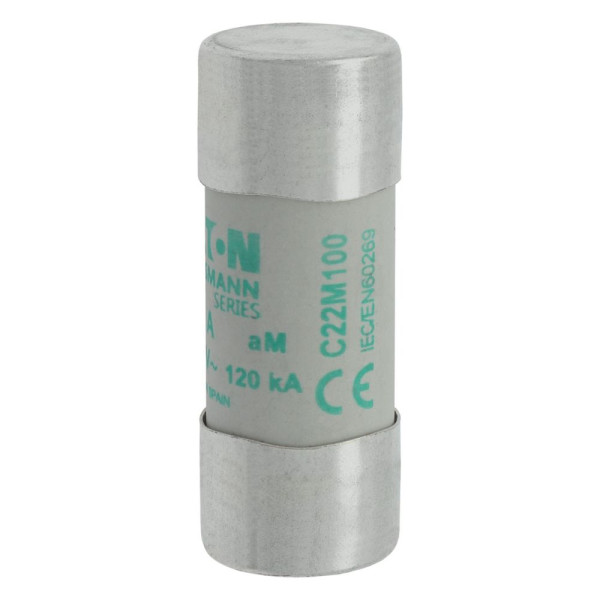 Cylindrical fuse 22 x 58 100a am 500v ac 