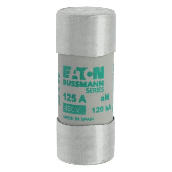 Cylindrical fuse 22 x 58 125a am 400v ac 