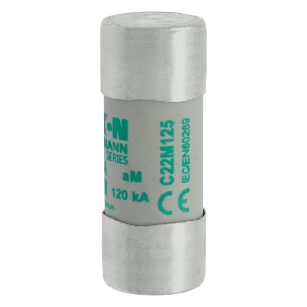 Cylindrical fuse 22 x 58 125a am 400v ac 