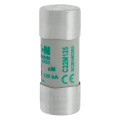 Cylindrical fuse 22 x 58 125a am 400v ac 