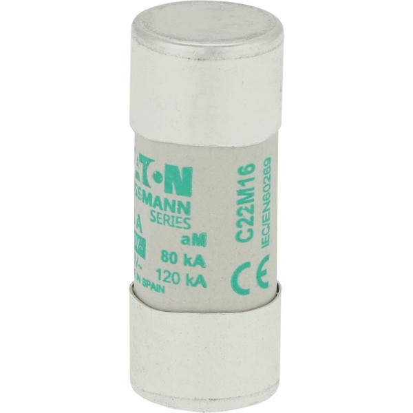 Cylindrical fuse 22 x 58 16a am 690v ac 