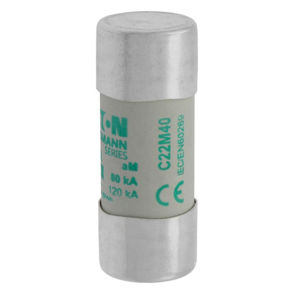 Cylindrical fuse 22 x 58 40a am 690v ac 