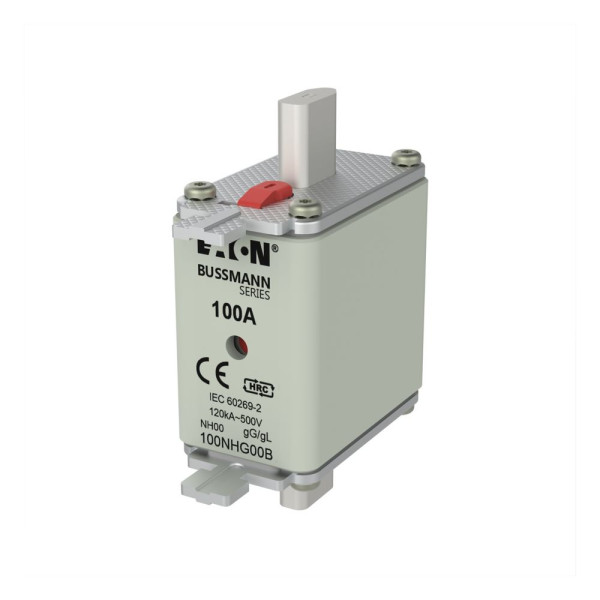 Fuse nh 00 gg 100a 500v d.i. 