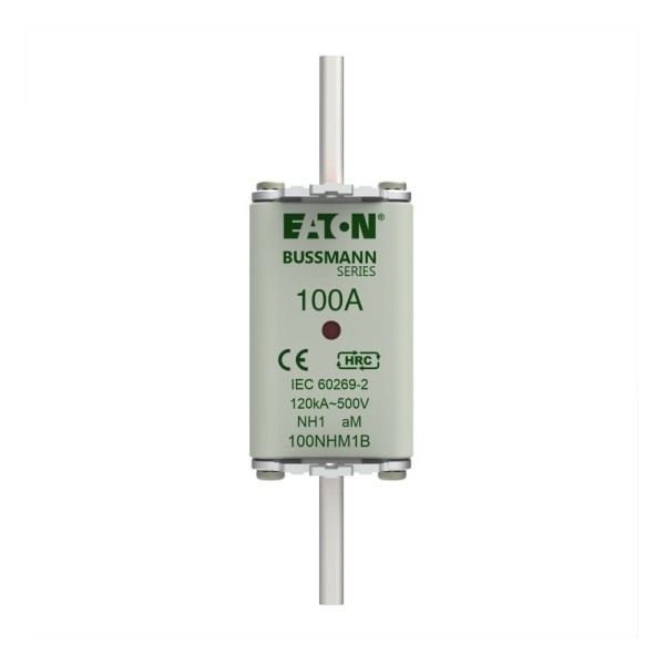 Fuse nh size 1 am 100a 500v 