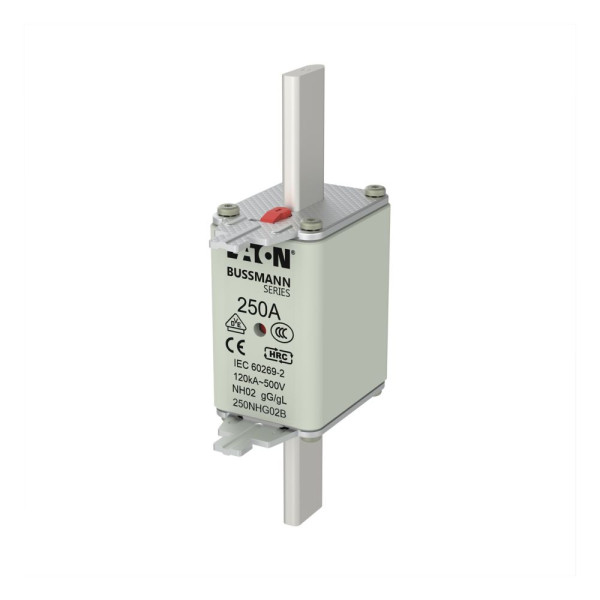 Nh fuse 250a 500v gg/gl size 02 