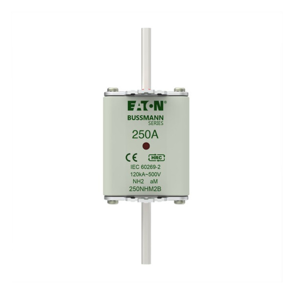 Nh fuse 250a 500v am size 2 dual ind 