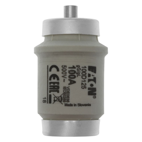 Fuse-d4 100a t gl/gg 500vac 