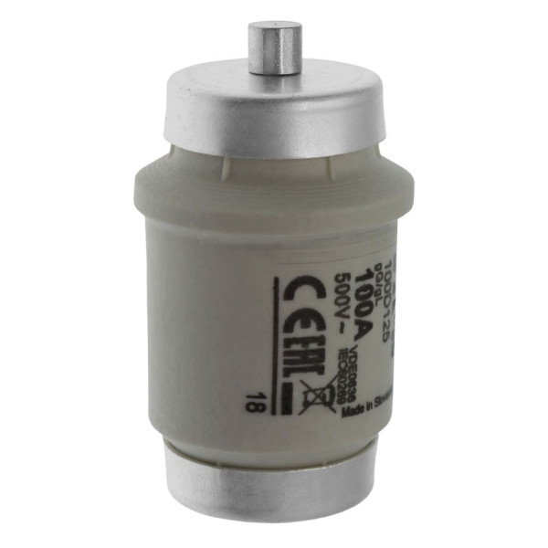 Fuse-d4 100a t gl/gg 500vac 