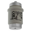 Fuse-d4 100a t gl/gg 500vac 