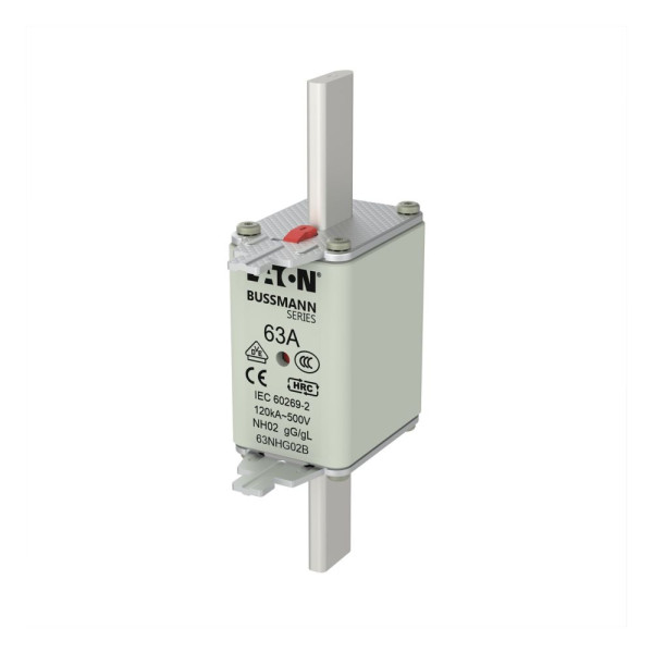 Nh fuse 63a 500v gg/gl size 02 