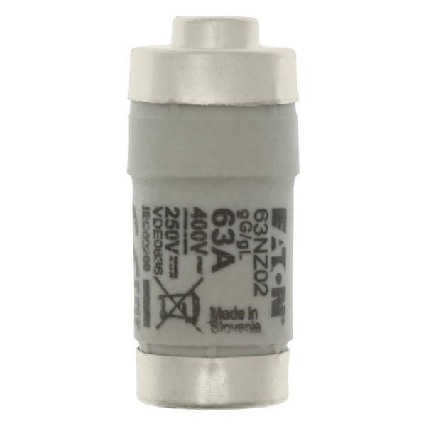 Fuse-d02 63a t gl/gg 400vac e18 