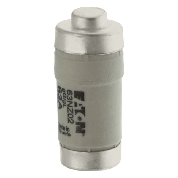 Fuse-d02 63a t gl/gg 400vac e18 