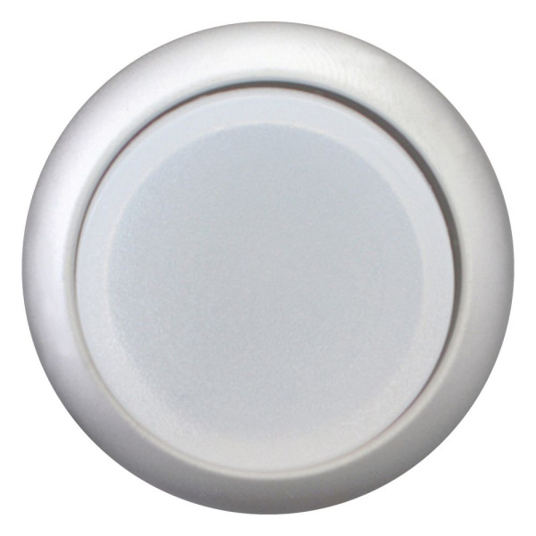 Bouton-poussoir lumineux, saillant, blanc, à accrochage (M22-DRLH-W)