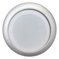 Bouton-poussoir lumineux, saillant, blanc, à accrochage (M22-DRLH-W)