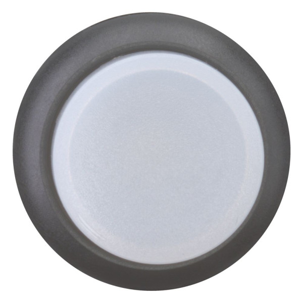 Bouton-poussoir lumineux, saillant, blanc, à accrochage (M22S-DRLH-W)