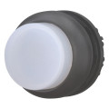 Bouton-poussoir lumineux, saillant, blanc, à accrochage (M22S-DRLH-W)