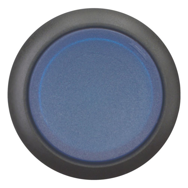 Bouton-poussoir lumineux, saillant, bleu, à accrochage (M22S-DRLH-B)