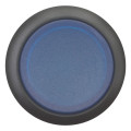 Bouton-poussoir lumineux, saillant, bleu, à accrochage (M22S-DRLH-B)