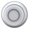 Bouton-poussoir lumineux, saillant, blanc 0, à accrochage (M22-DRLH-W-X0)