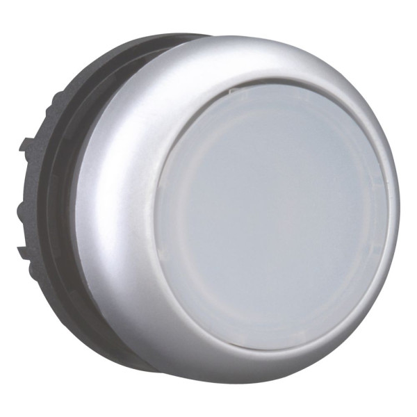 Bouton-poussoir lumineux, plat, blanc, à rappel (M22-DL-W)