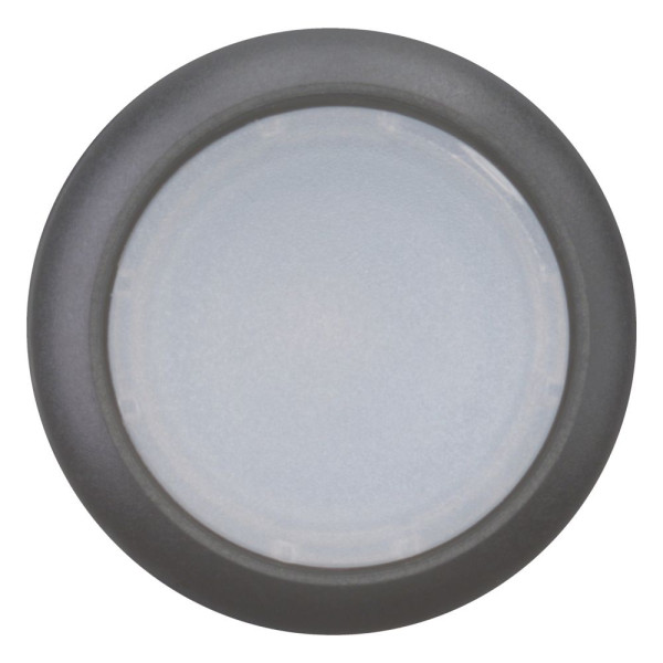 Bouton-poussoir lumineux, plat, blanc, à rappel (M22S-DL-W)