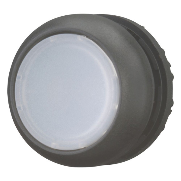 Bouton-poussoir lumineux, plat, blanc, à rappel (M22S-DL-W)